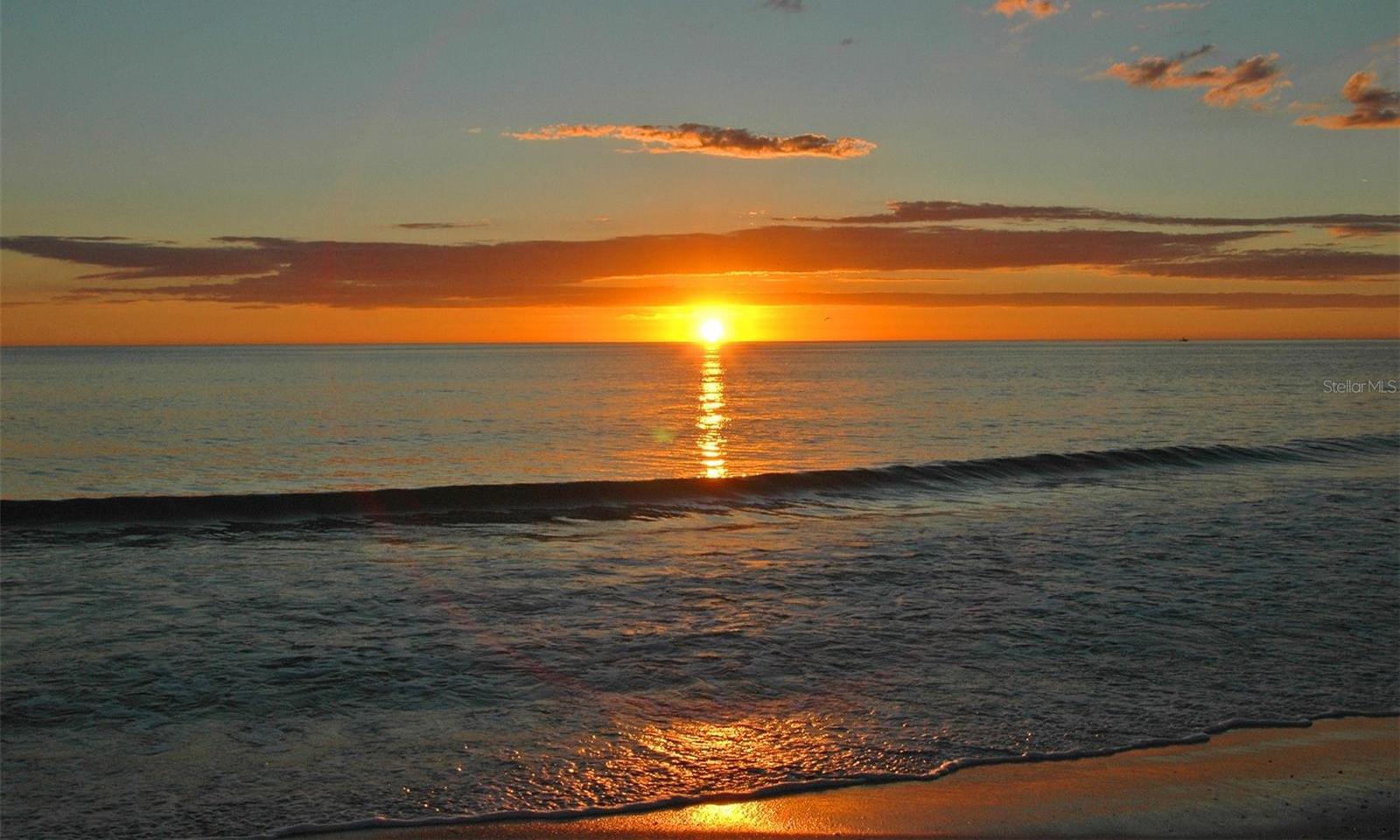 Photo #48