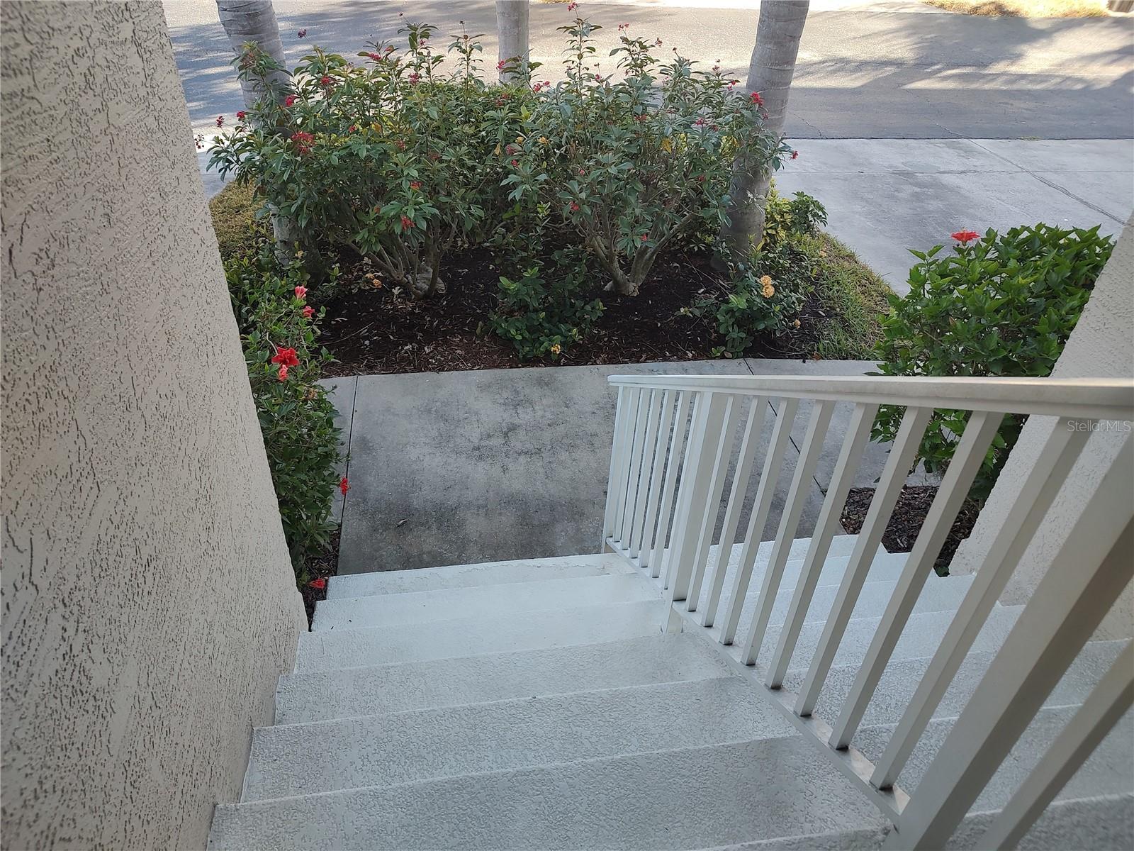 Photo #38