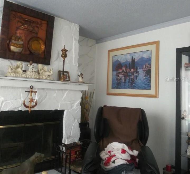 Photo #19