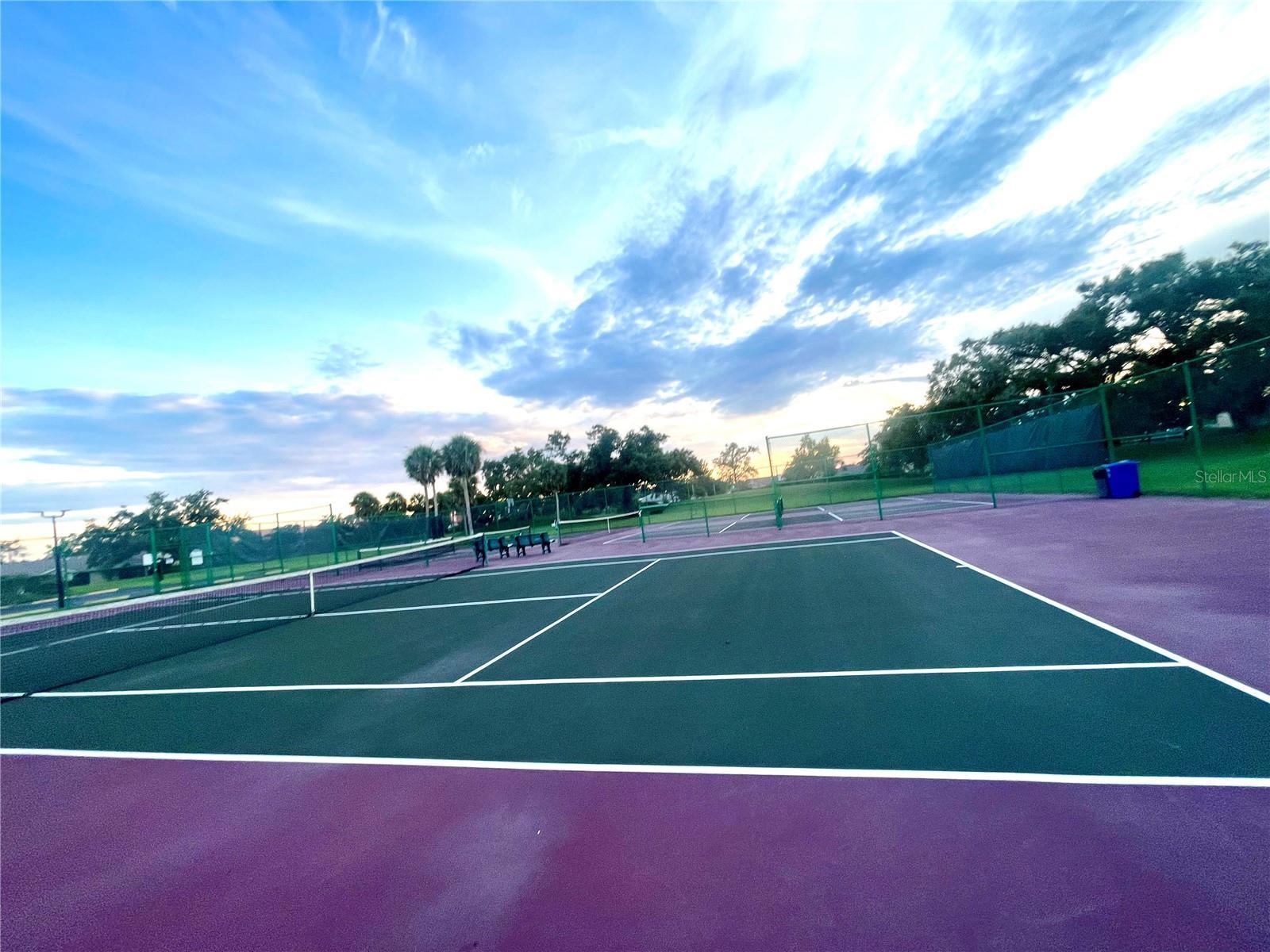 Photo #41