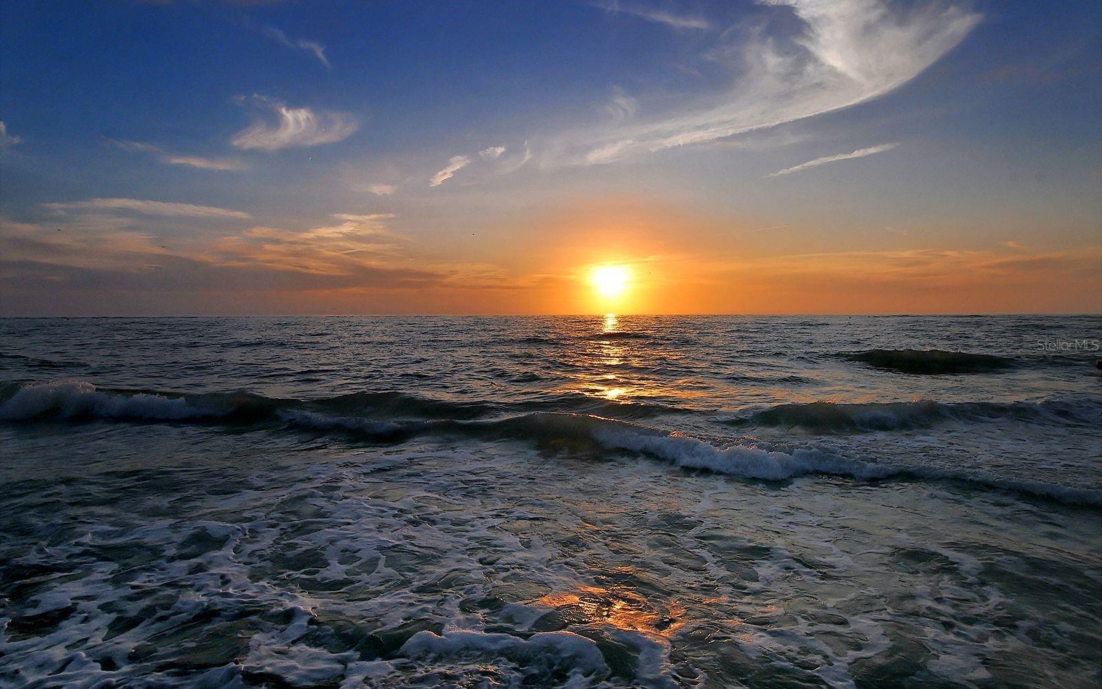 Photo #59