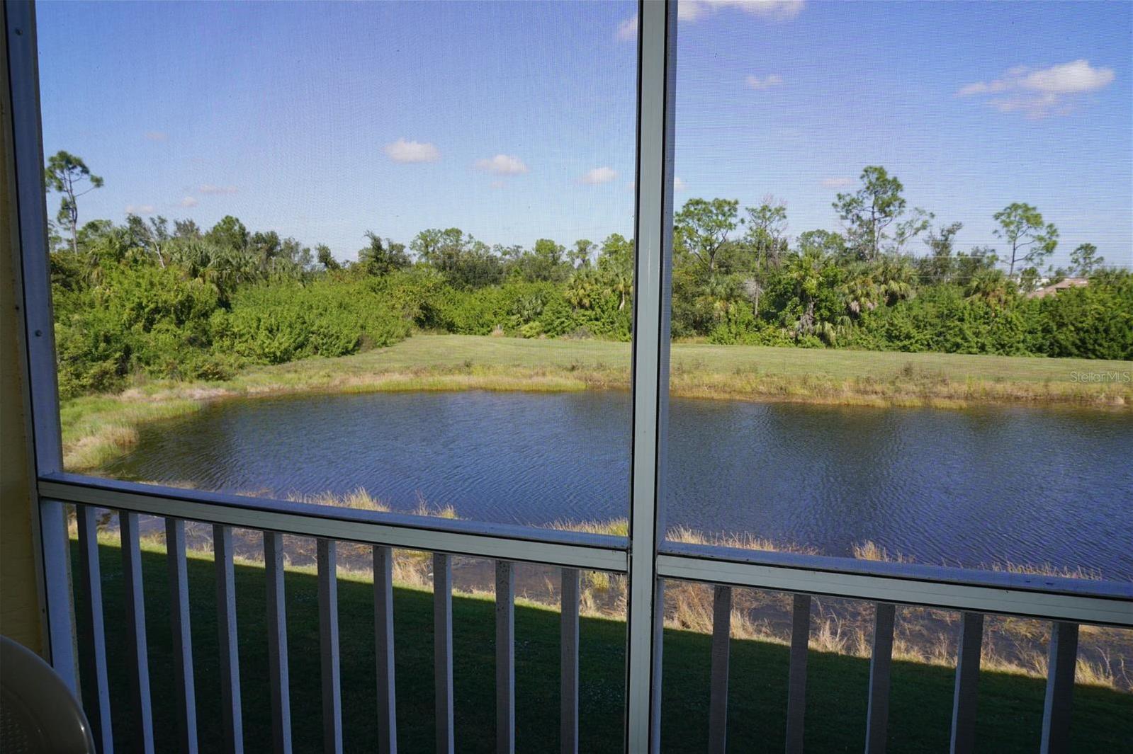 Photo #4