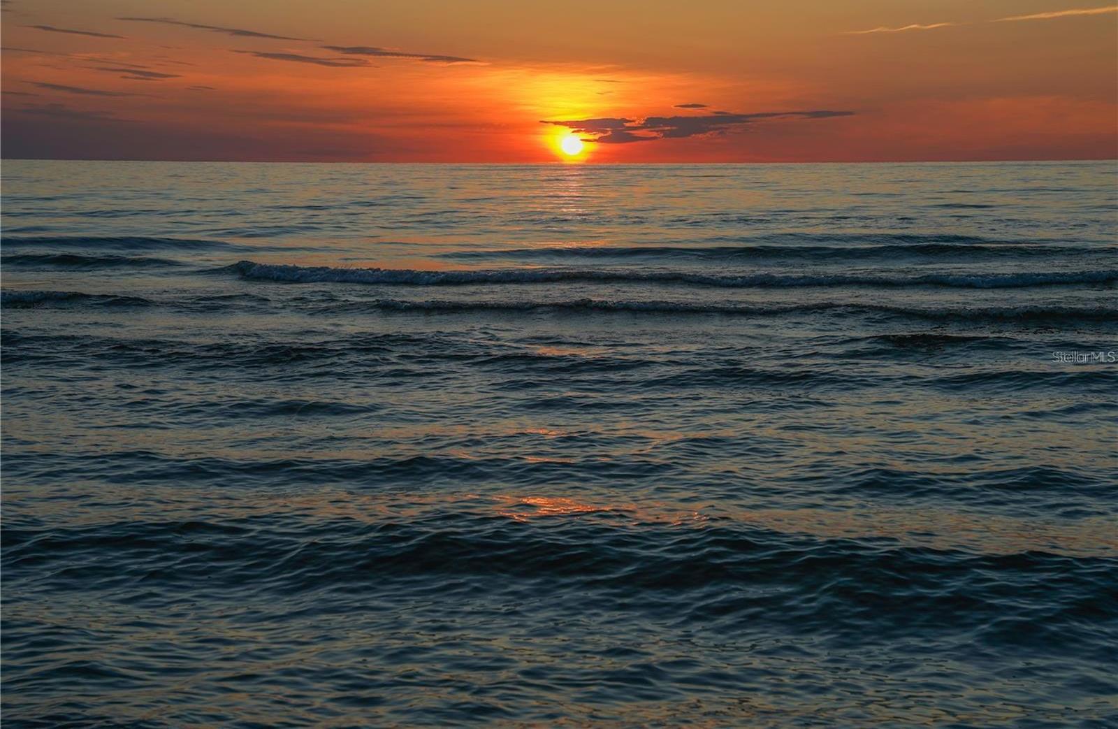 Photo #63