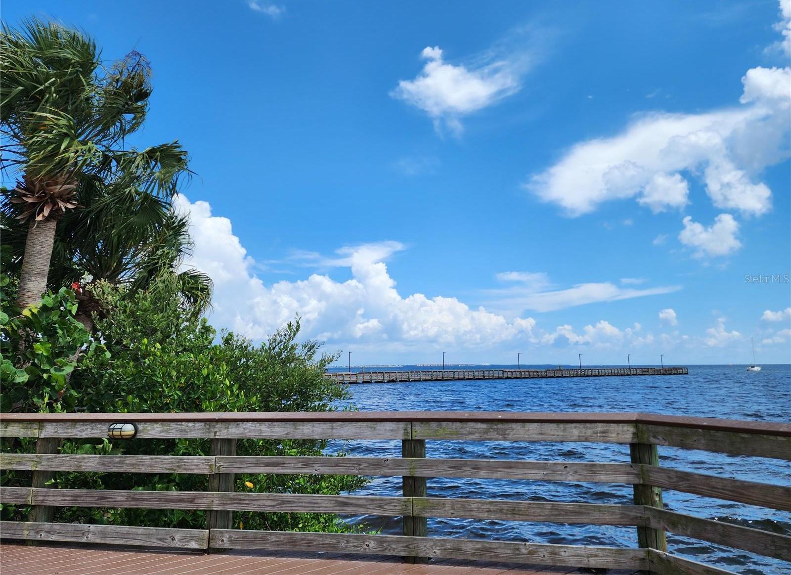 Photo #31