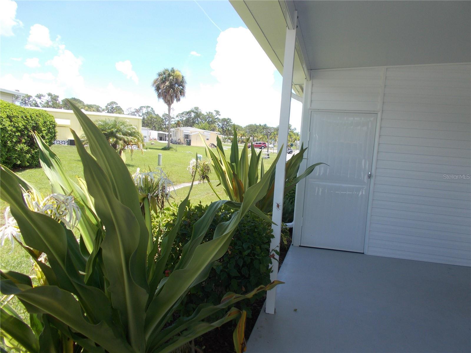 Photo #27