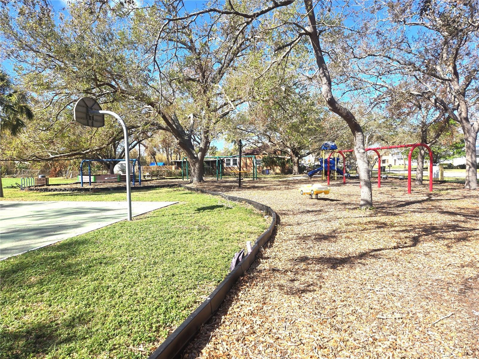 Photo #43