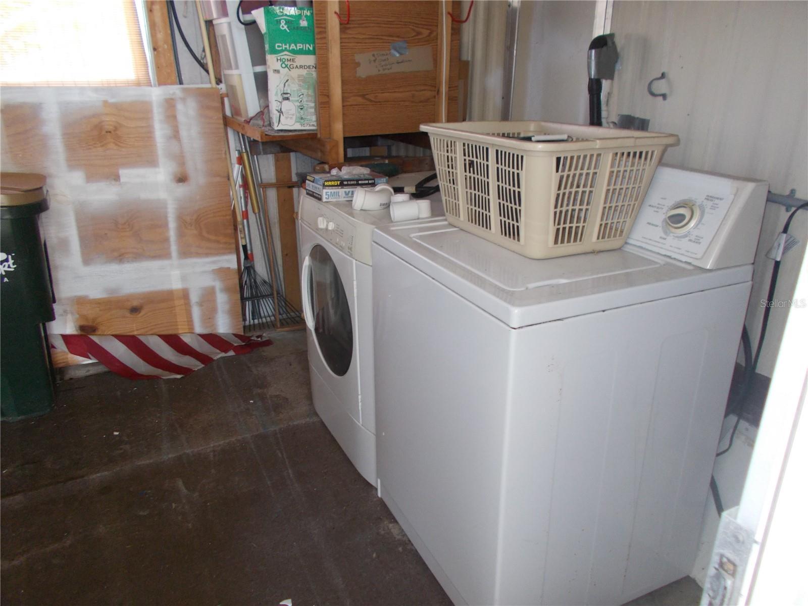 Photo #15