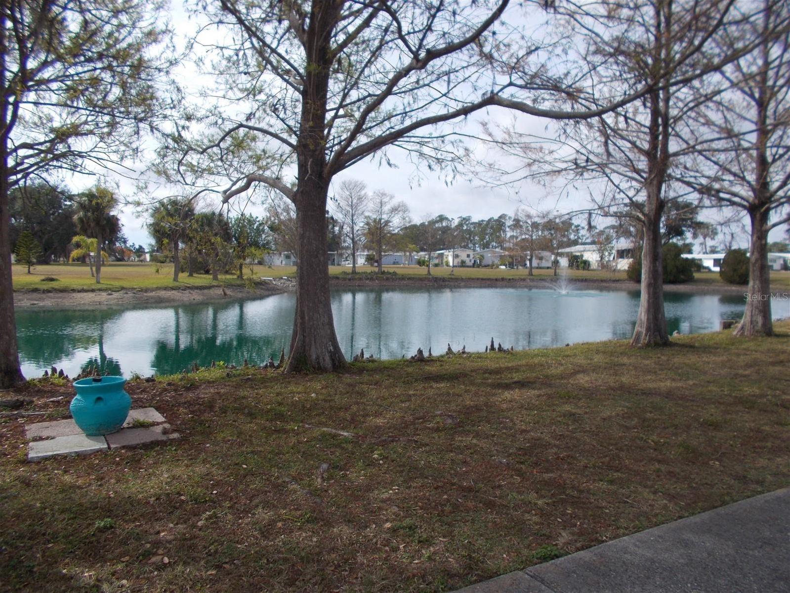Photo #41