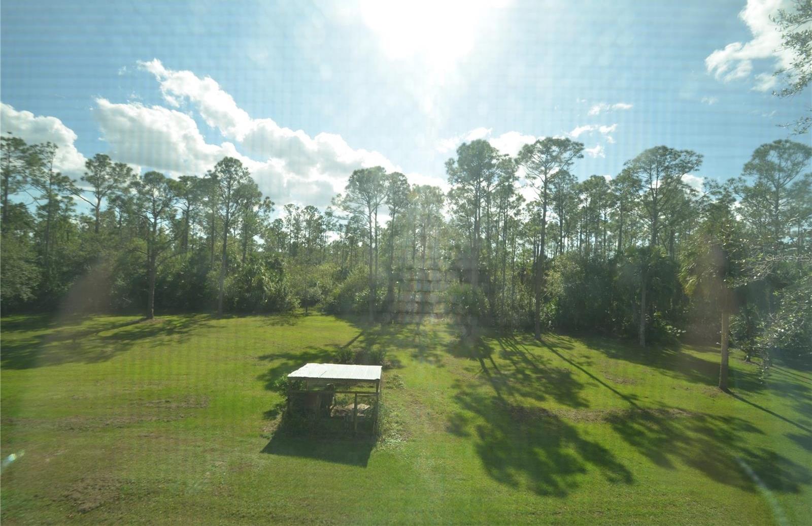 Photo #48