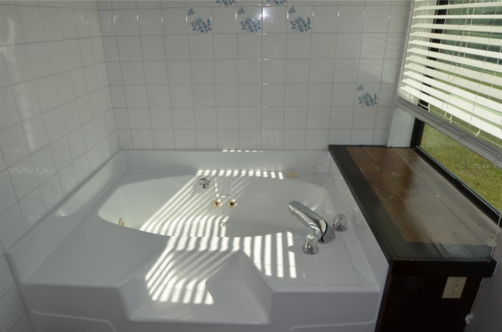 Photo #16