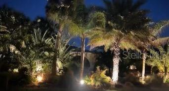 Photo #41