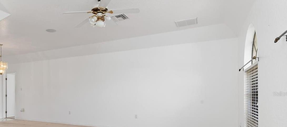 Photo #4