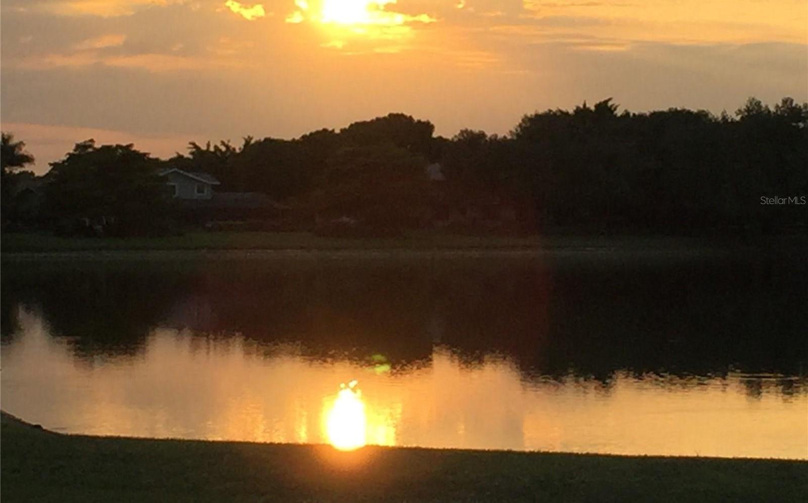 Photo #53