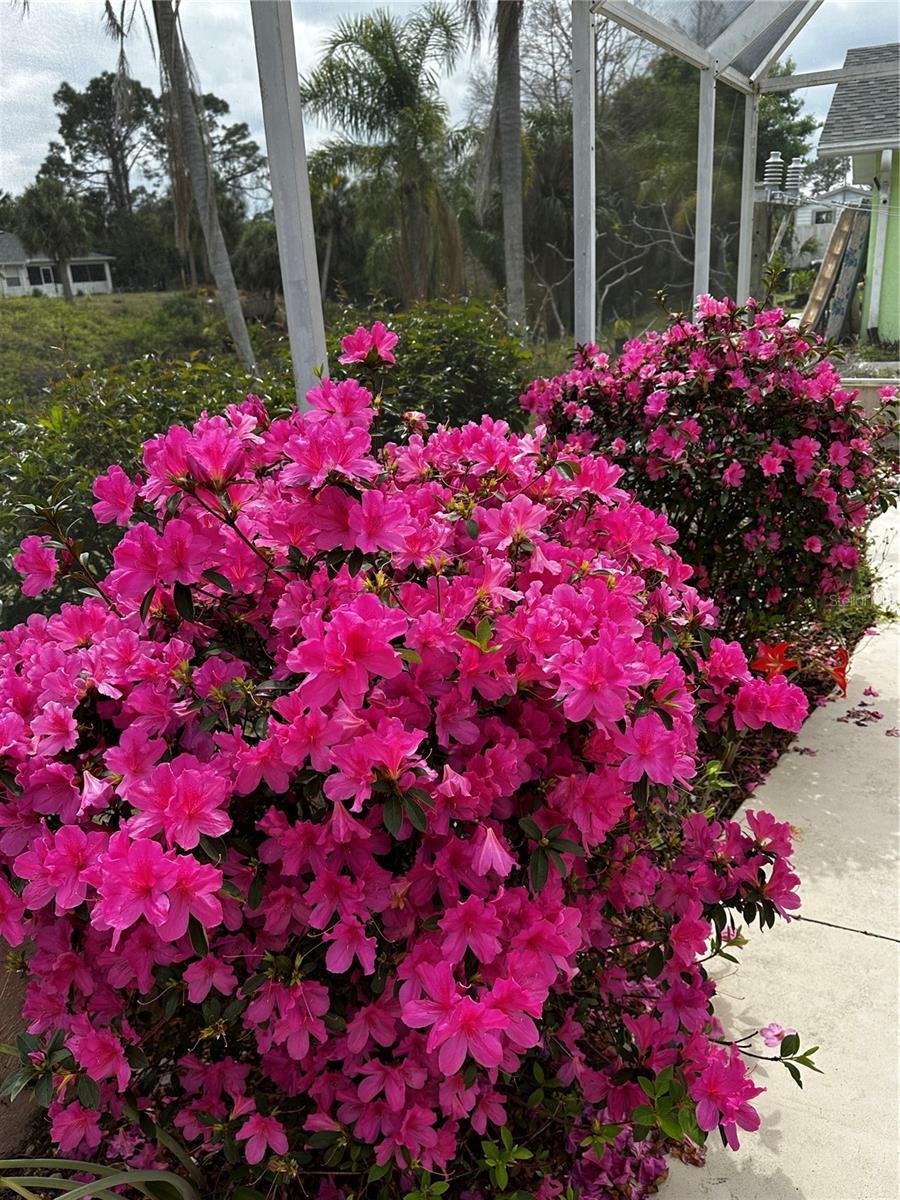 Photo #27