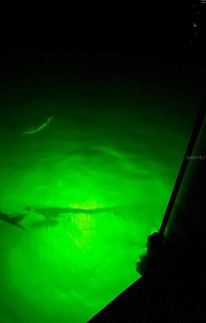 Photo #43