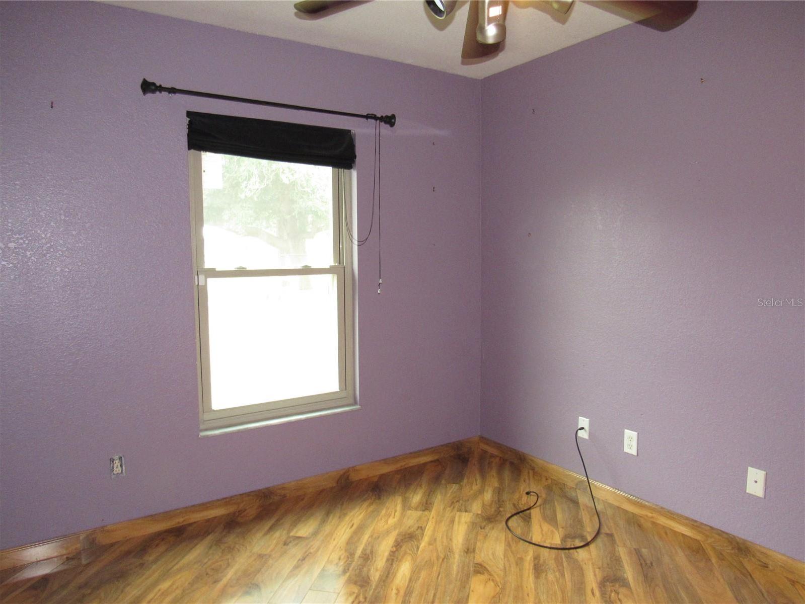 Photo #19
