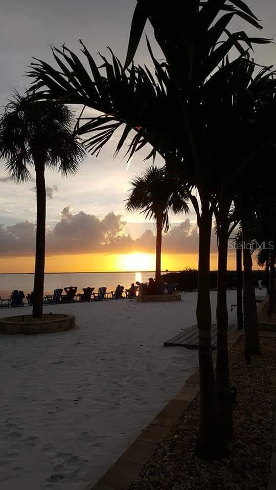 Photo #39
