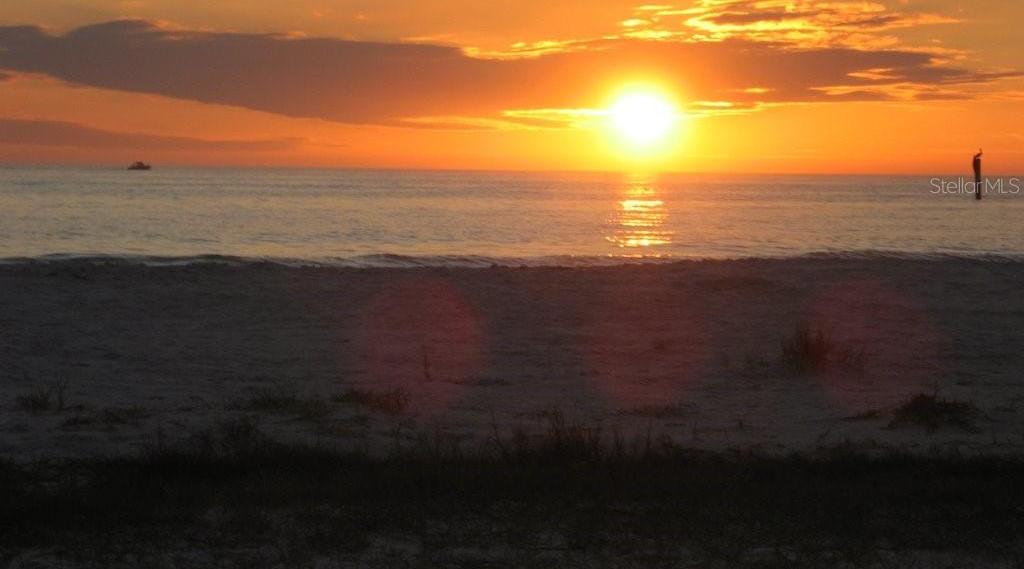 Photo #32