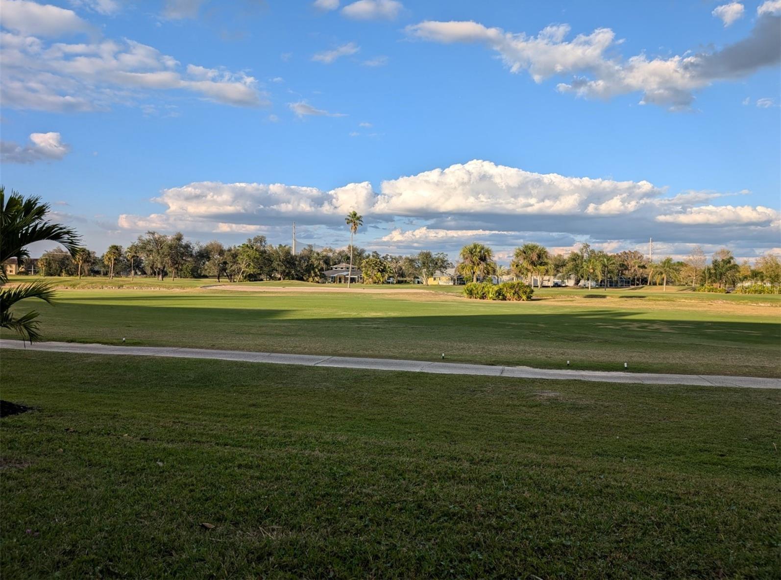 Photo #37