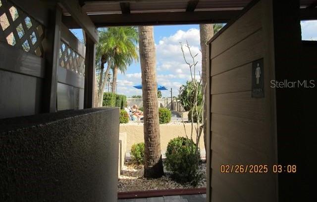 Photo #11