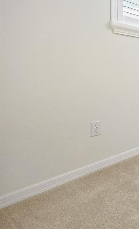 Photo #23