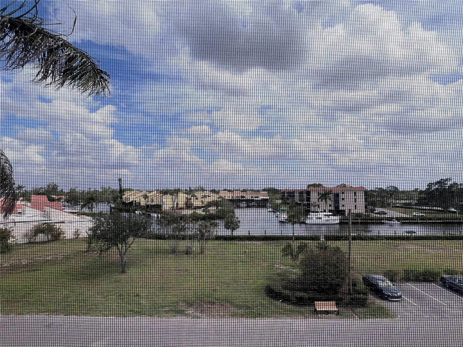 Photo #12