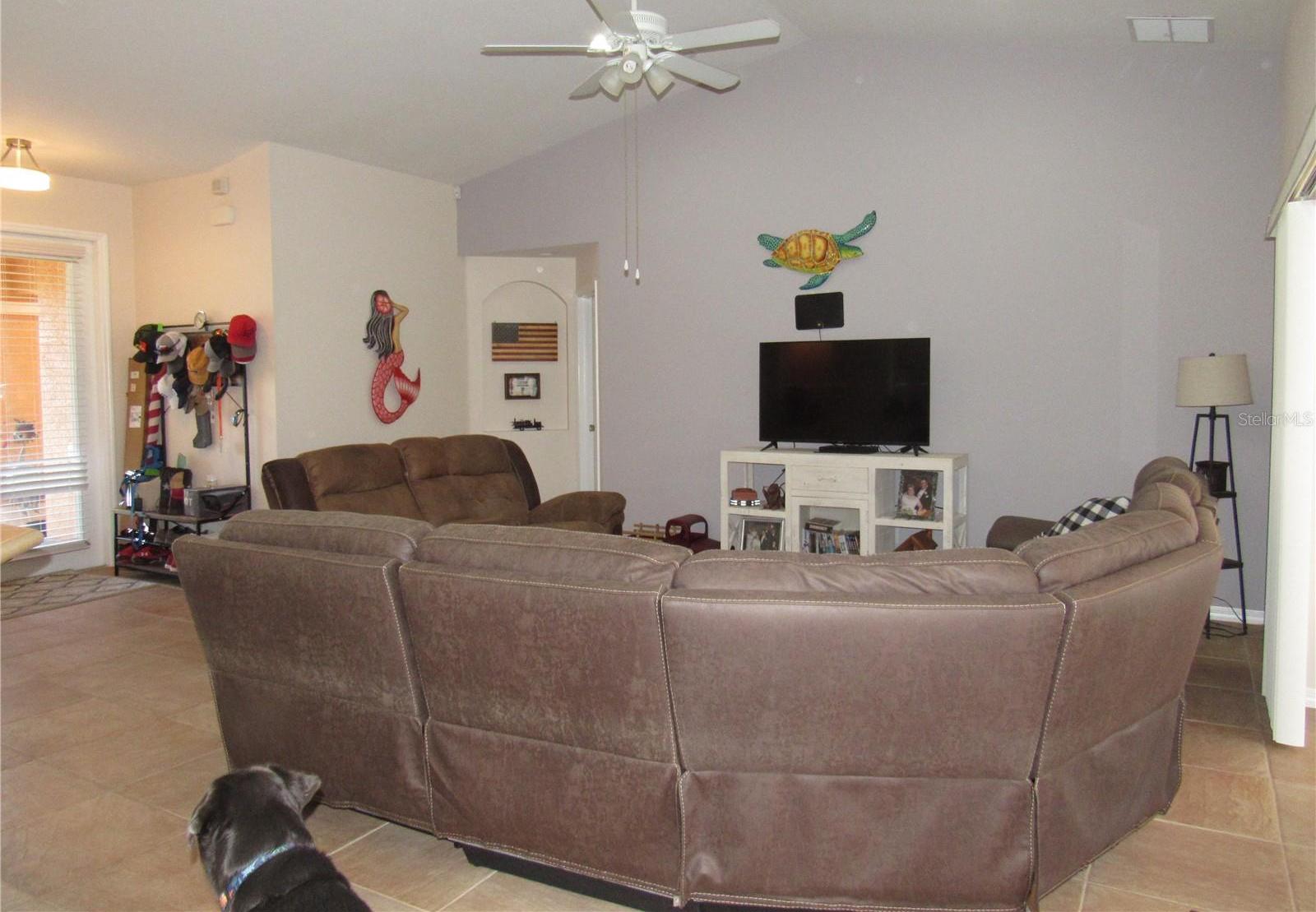 Photo #8