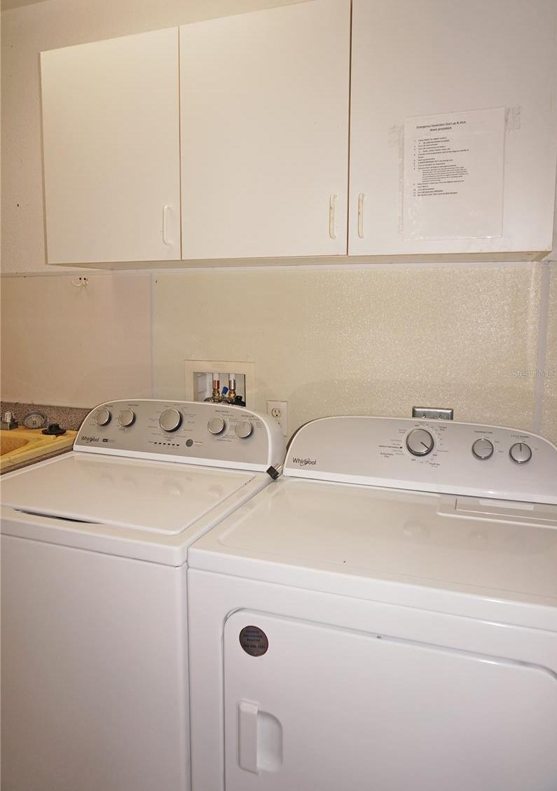 Photo #42