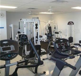 Photo #16