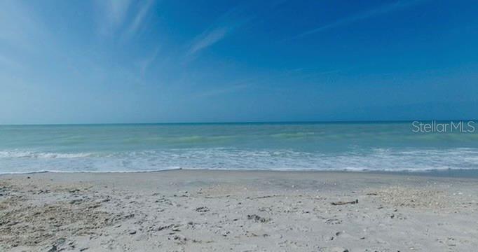 Photo #42