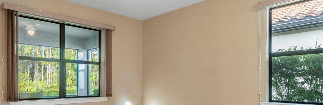 Photo #19