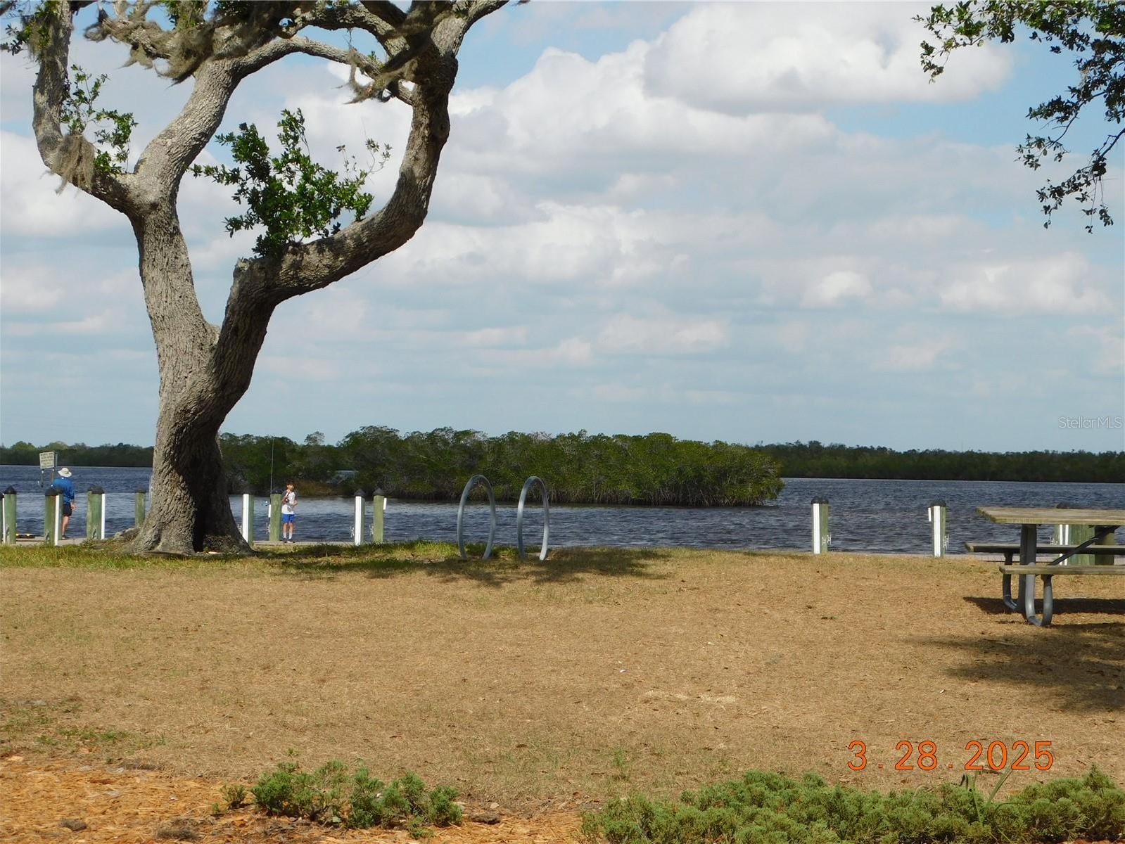 Photo #75
