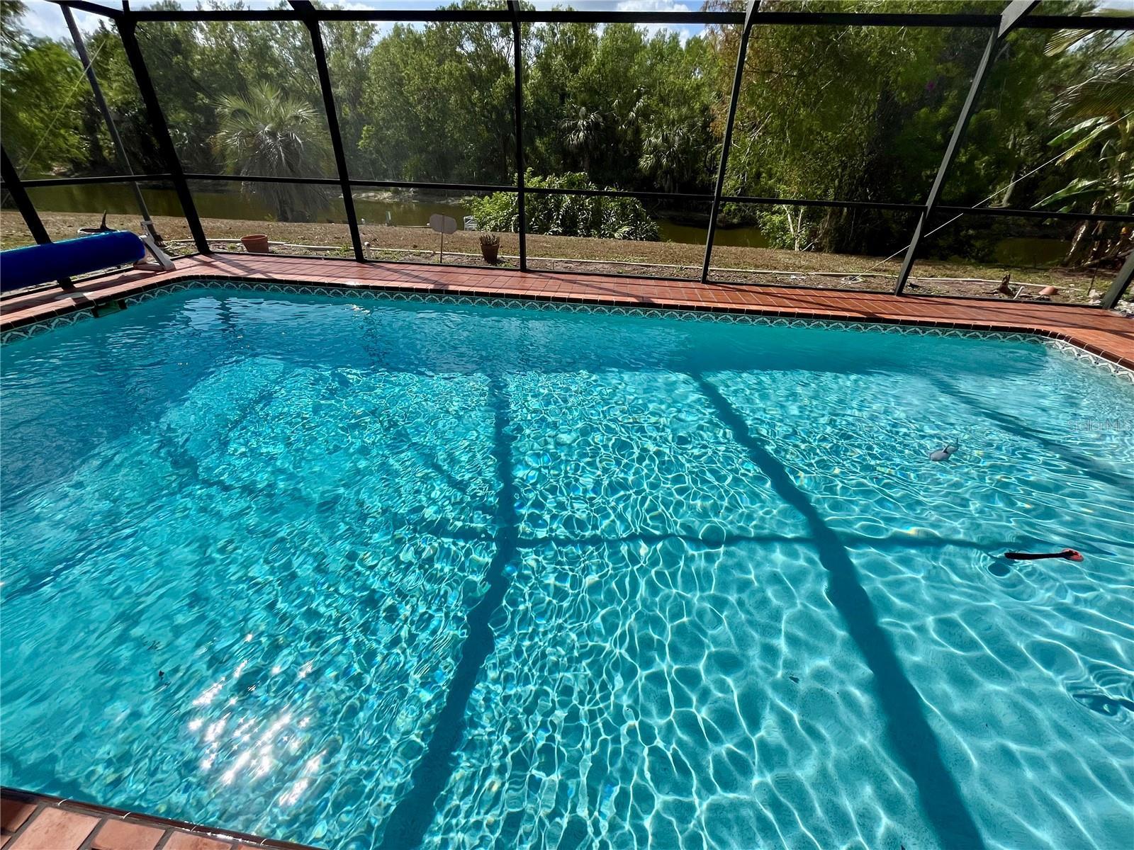 Photo #42