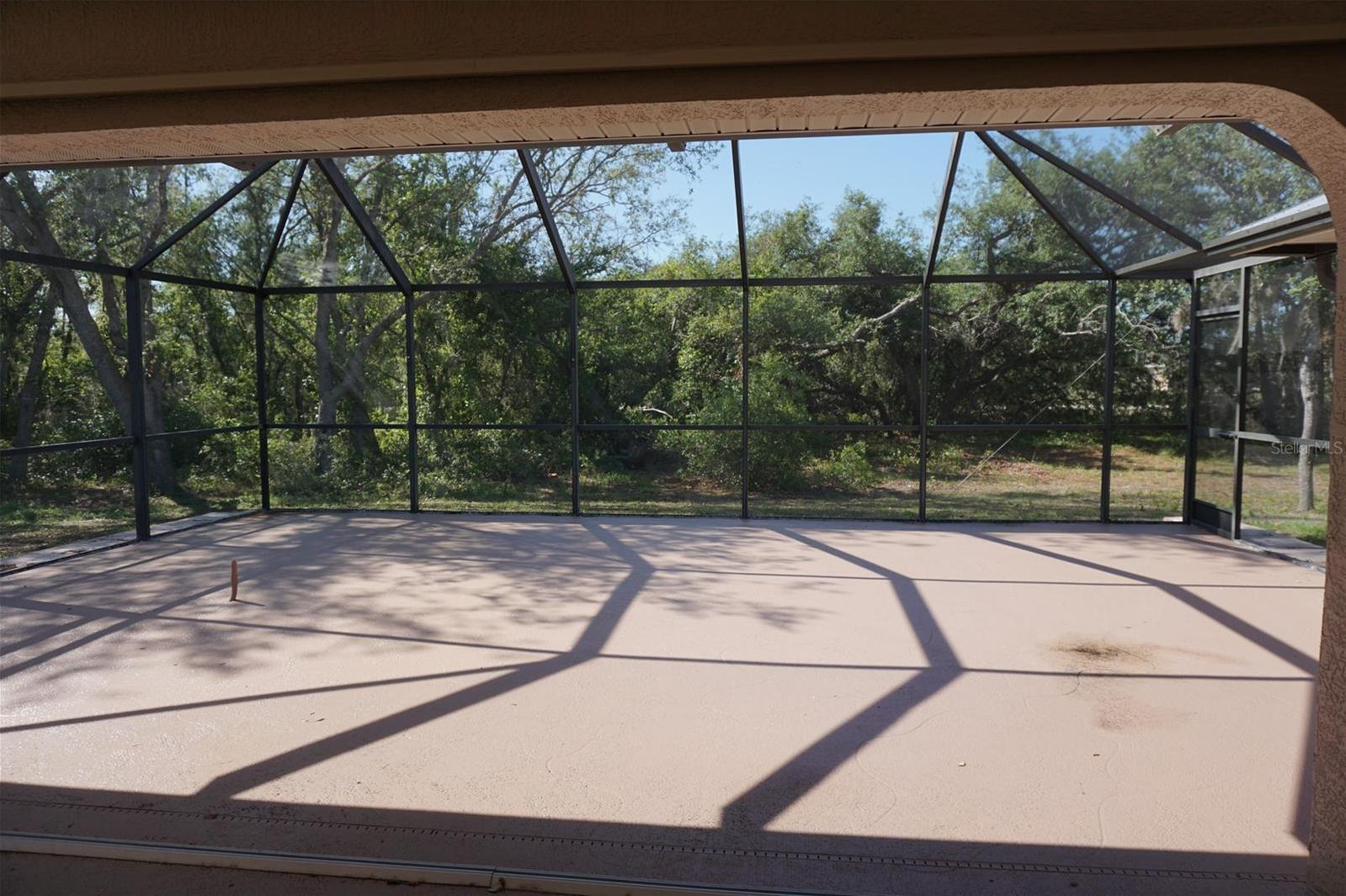 Photo #39