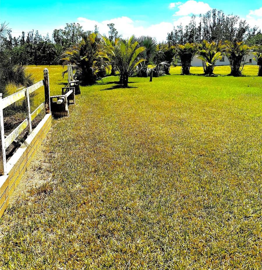 Photo #7