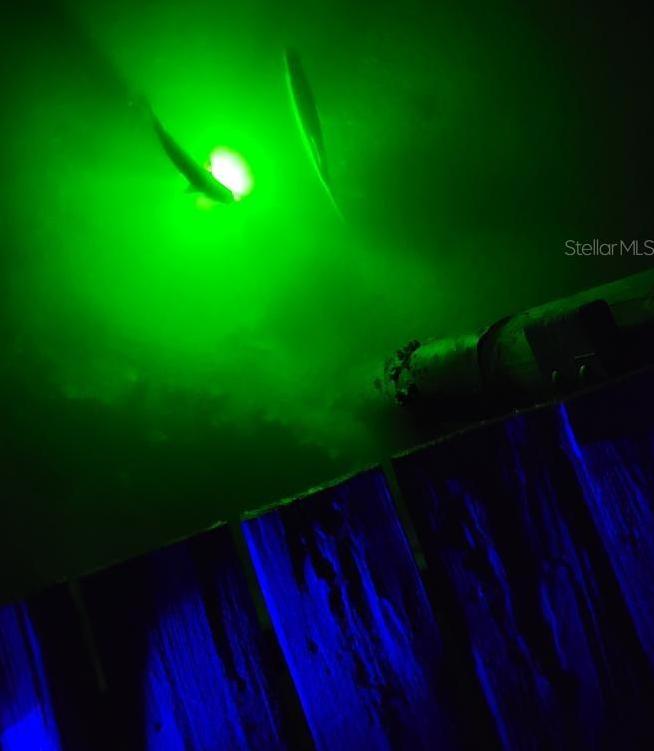 Photo #71