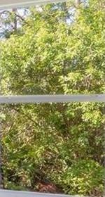 Photo #24