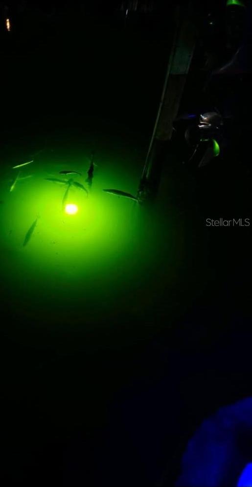 Photo #41