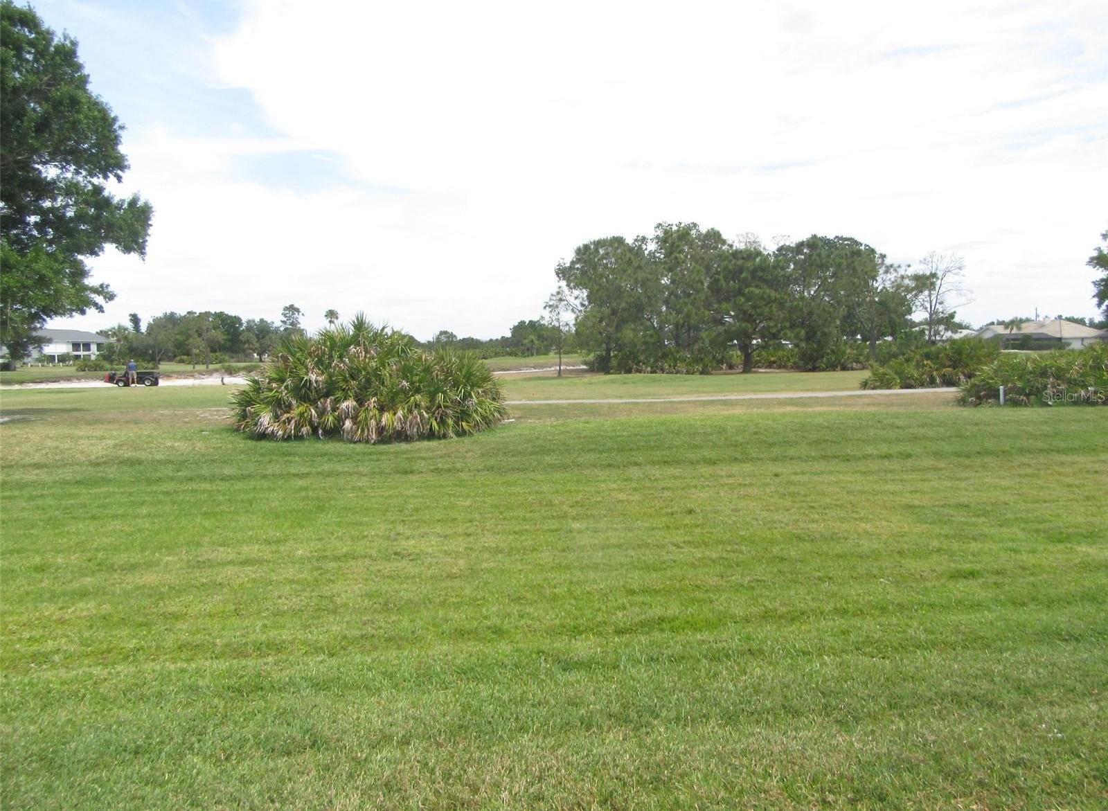 Photo #16