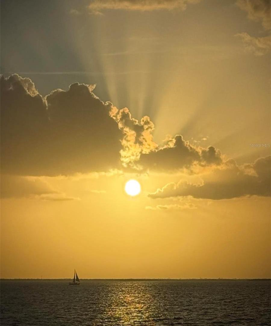 Photo #38