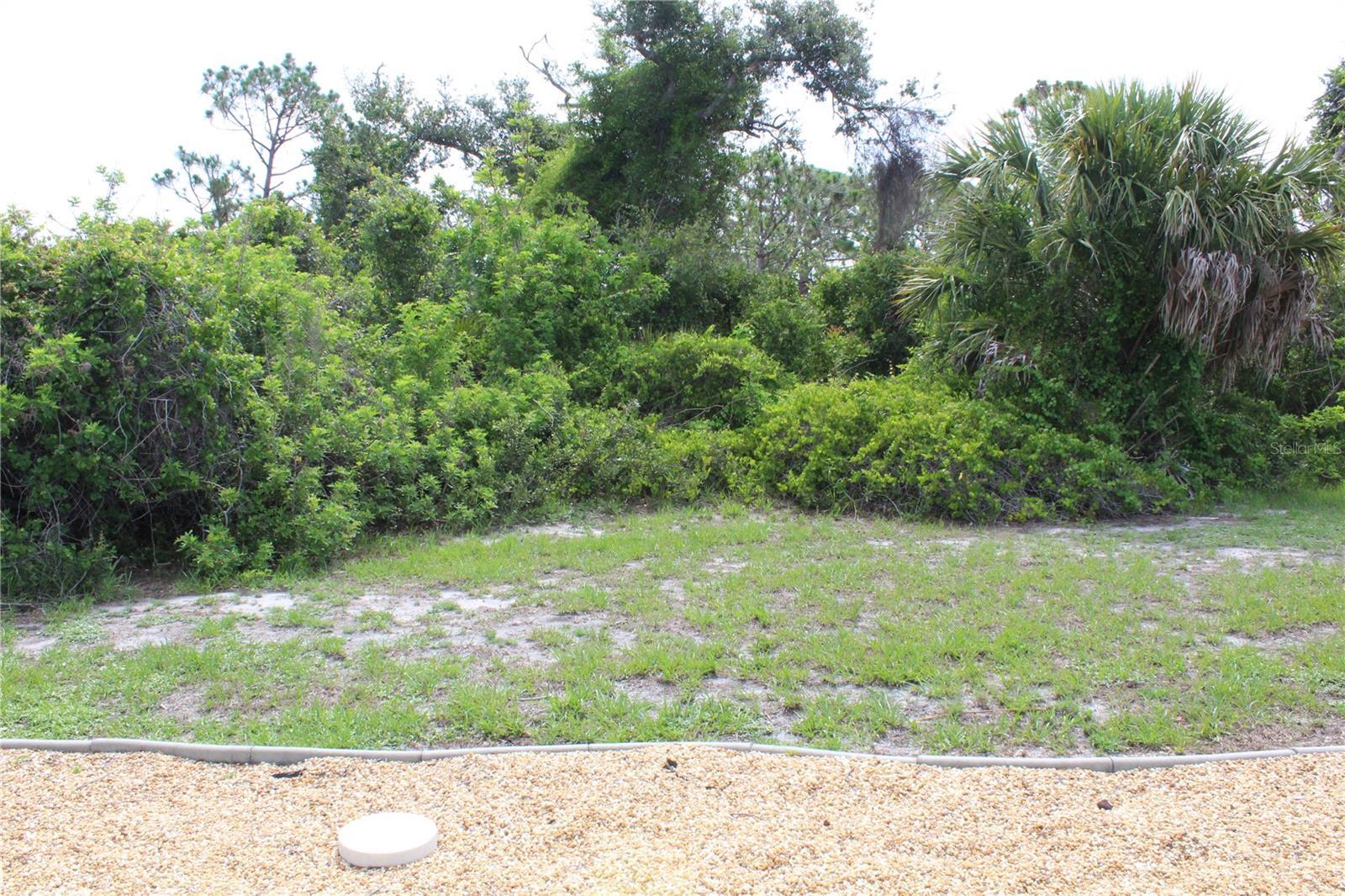 Photo #36