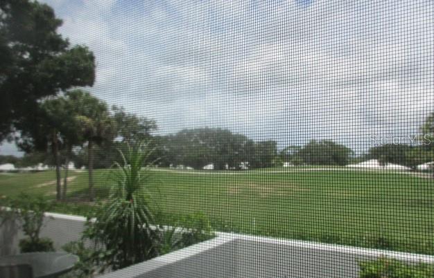 Photo #13