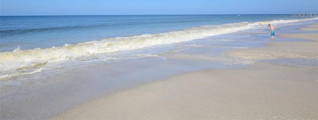 Photo #51