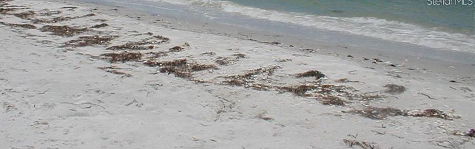 Photo #54
