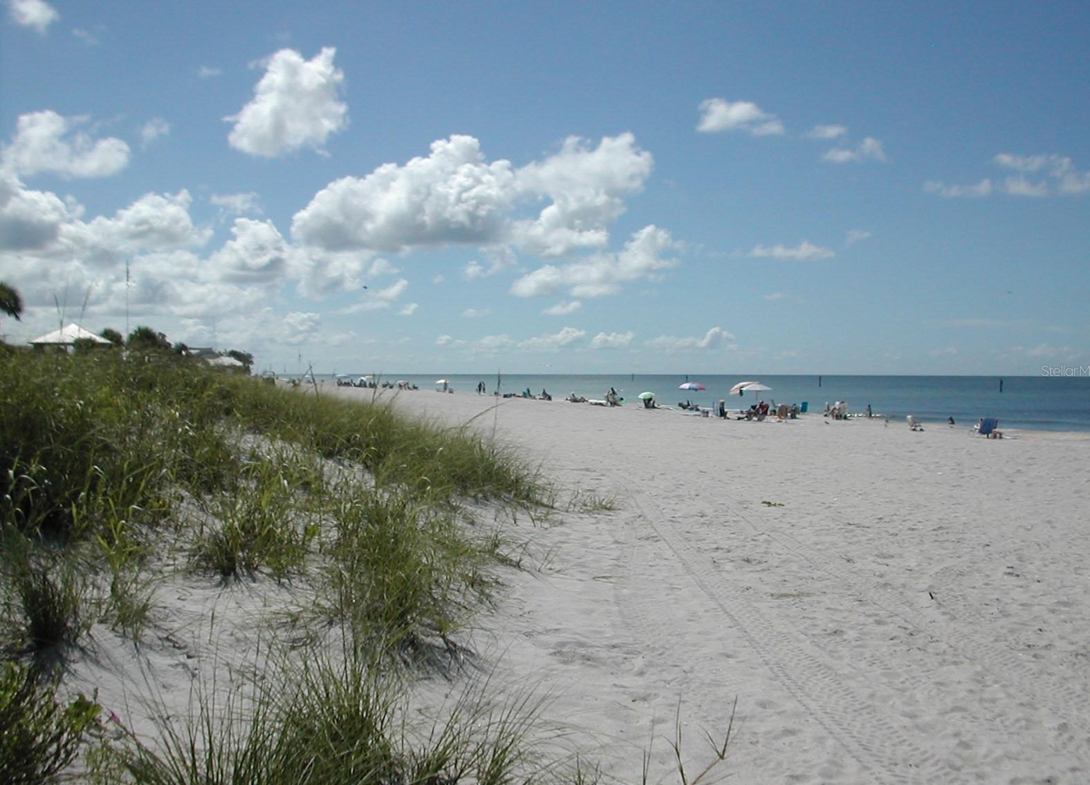 Photo #27