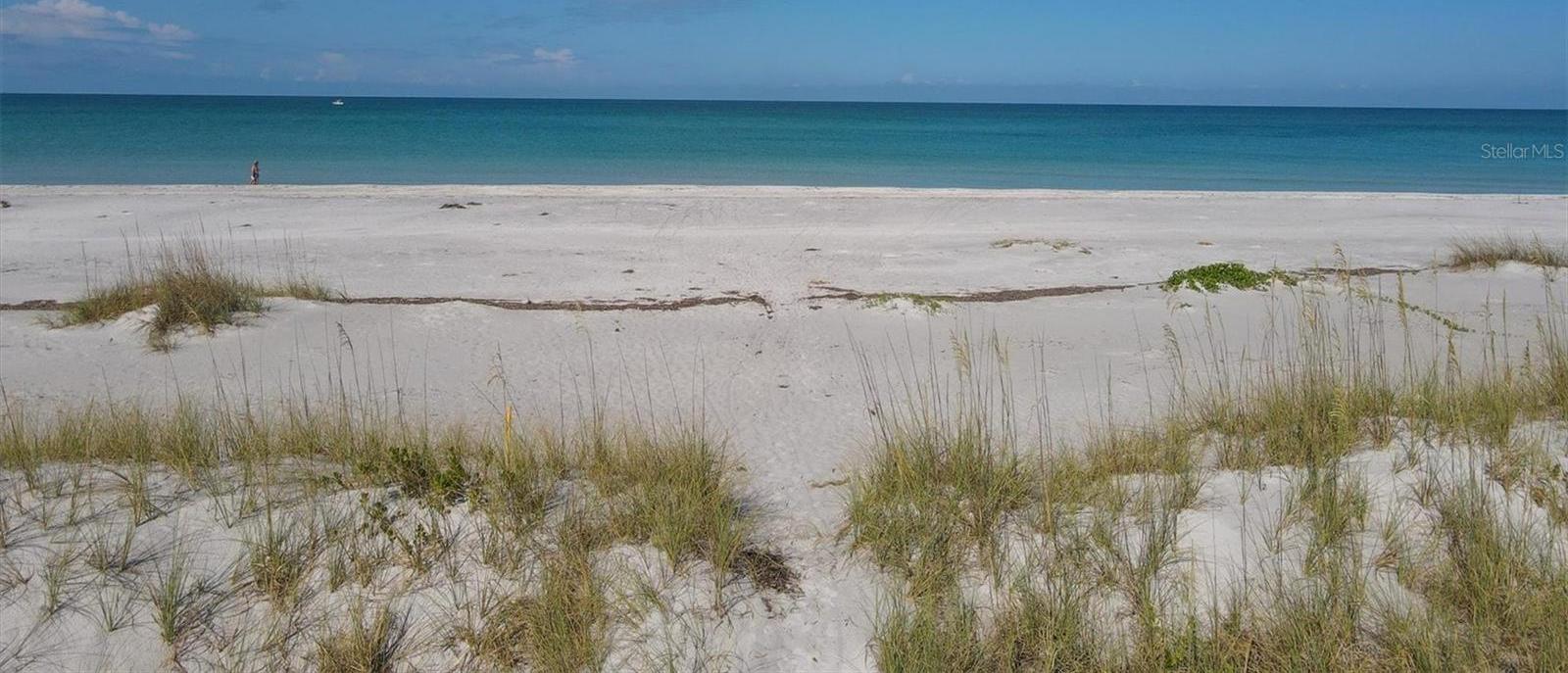 Photo #35