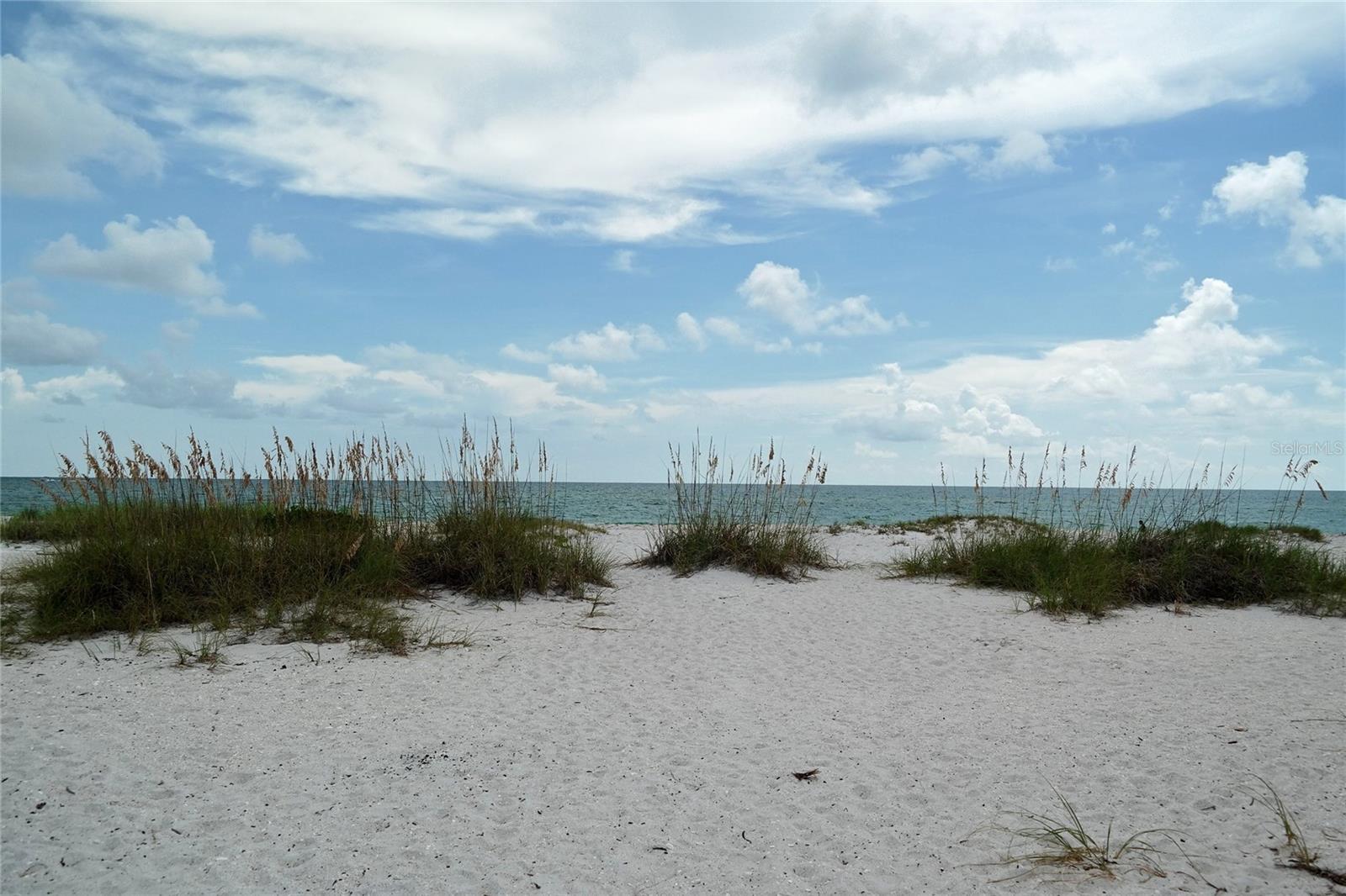 Photo #39