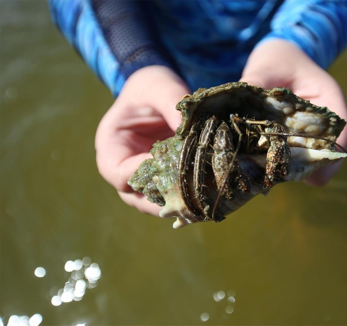Photo #38