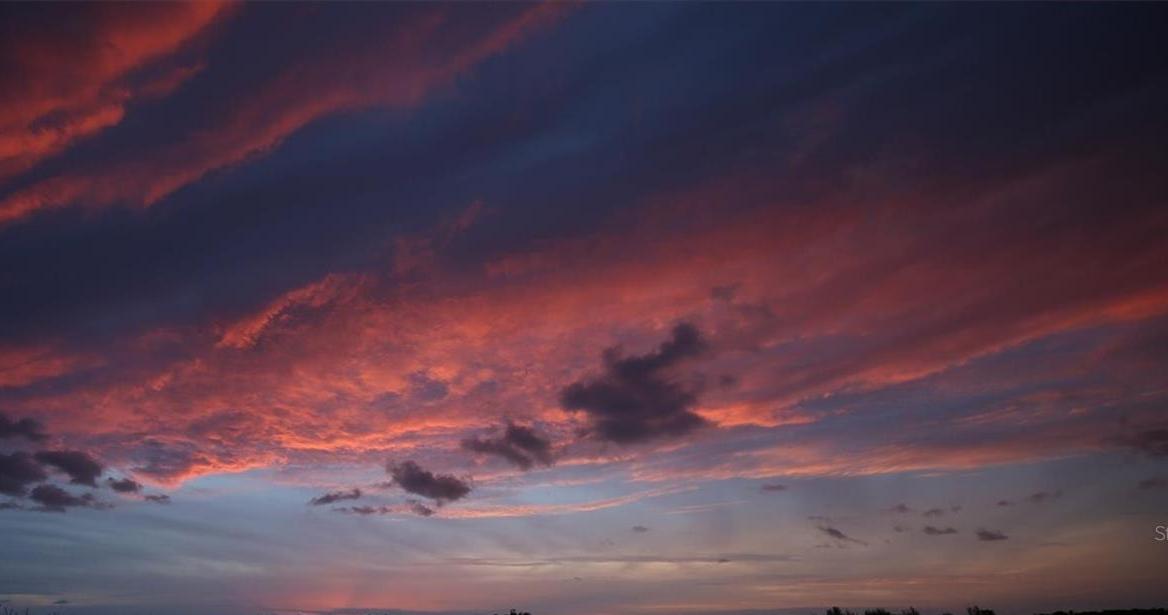 Photo #40