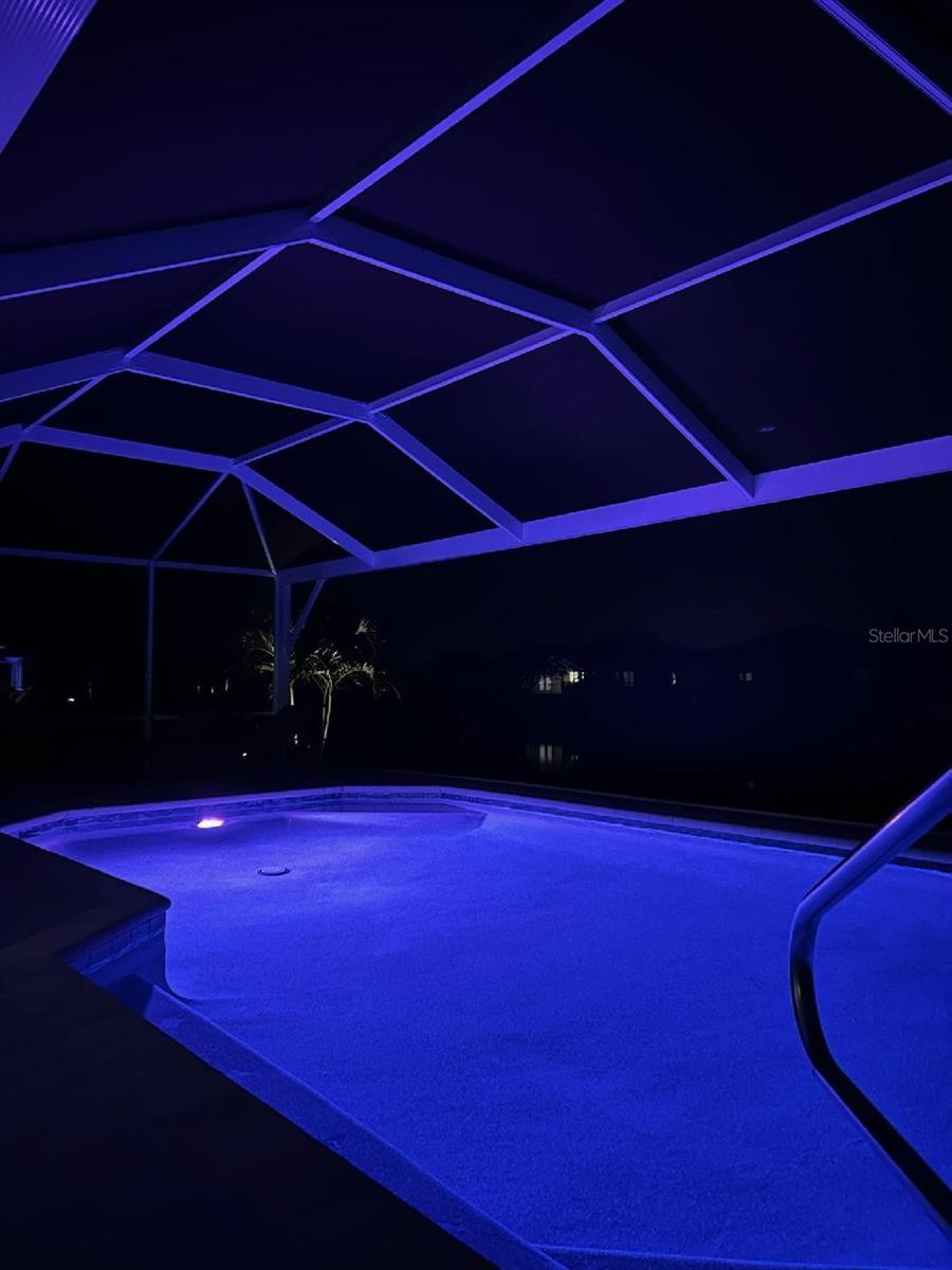 Photo #43